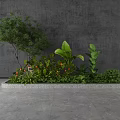 Diverse Green Plants In Rectangular Planting Area Featuring Small Tree Large Leaves And Orange Blooms