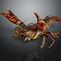 Vibrant Freshwater Crayfish Displaying Claws And Segmented Body On Dark Background