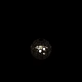 Luna Bronze Chandelier Spherical Glass And Metal Frame Modern Home Decor Lighting Fixture