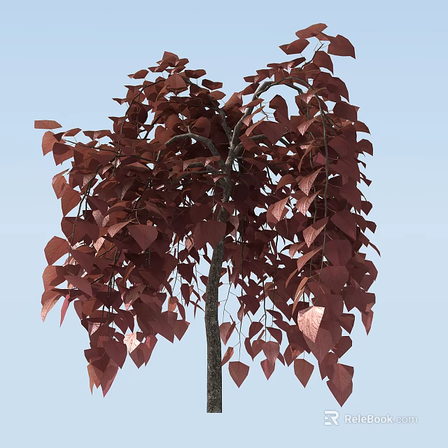 Red Leaf Arbor With Hanging Branches And Vibrant Foliage Against Blue Sky 3d model 