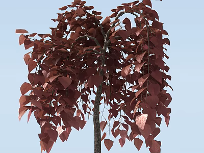Red Leaf Arbor With Hanging Branches And Vibrant Foliage Against Blue Sky 3d model