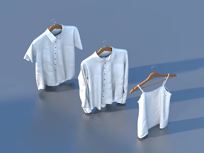 Essential White Daily Clothing Shirts And Camisole Hanging On Wood Hangers 3d model