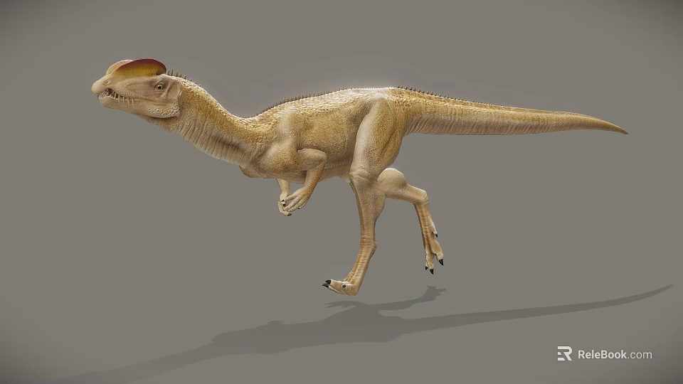 Realistic 3D Dinosaur Model With Light Brown Skin And Head Crest 3d model