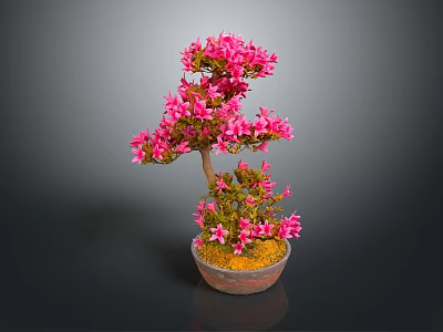Pink Flowering Bonsai Plant with Artistic Trunk in Decorative Clay Pot 3d model