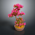 Pink Flowering Bonsai Plant with Artistic Trunk in Decorative Clay Pot