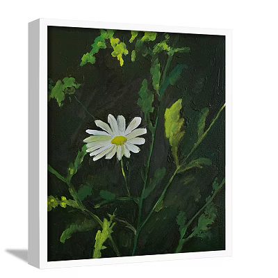 Beautiful Botanical Painting with White Daisy and Green Leaves on Dark Background 3d model