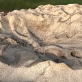 Exquisite Garden Ornaments Featuring Intricate Sand Textures and Natural Wind Patterns