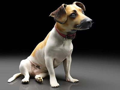 Realistic Dog Sculpture Sitting With Red Collar And Brown White Fur 3d model