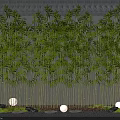 Lush Bamboo Plants With Green Leaves Stone Decor And Small Lights Against Dark Wall