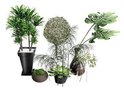 plant combination rice straw rice seedling green plant potted plant pot spherical plant 3d model