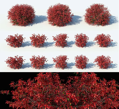 Modern shrubs 3d model Modern shrubs 3d model