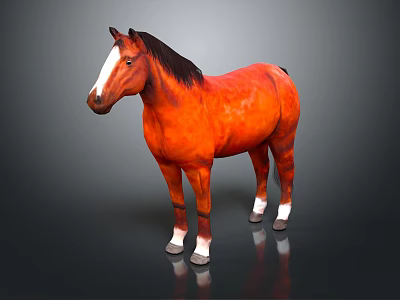 Realistic Chestnut Horse Standing With Shiny Coat Against Gray Background 3d model