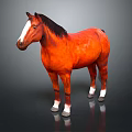 Realistic Chestnut Horse Standing With Shiny Coat Against Gray Background