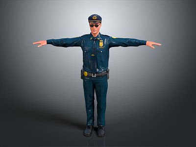 Modern police special police model