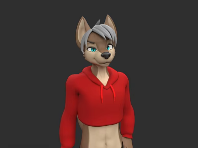 Anthropomorphic Wolf Character With Gray Fur Blue Eyes And Red Hoodie 3D Model Design 3d model