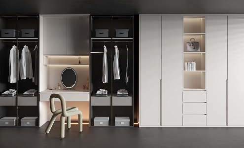 Wardrobe Dressing Integrated Wardrobe Glass Wardrobe Decorative Wardrobe 3d model