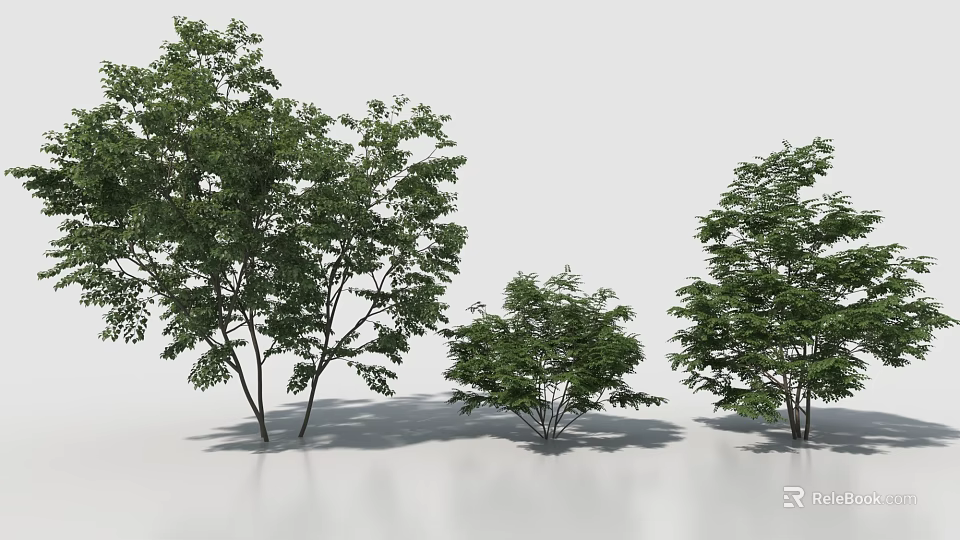 Green Leafy Shrubs In Different Sizes With Natural Shadows On White Background 3d model