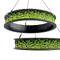 Modern Double Ring Pendant Light With Green Spherical Decorations And Black Frame 3d model
