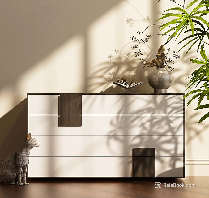 Modern Entryway Console Table With Vase Book Cat And Plant Shadows In Natural Light 3d model 