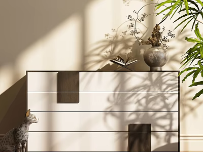 Modern Entryway Console Table With Vase Book Cat And Plant Shadows In Natural Light 3d model