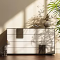 Modern Entryway Console Table With Vase Book Cat And Plant Shadows In Natural Light