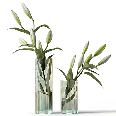 Green Lily Buds With Fresh Leaves In Transparent Glass Vases 3d model
