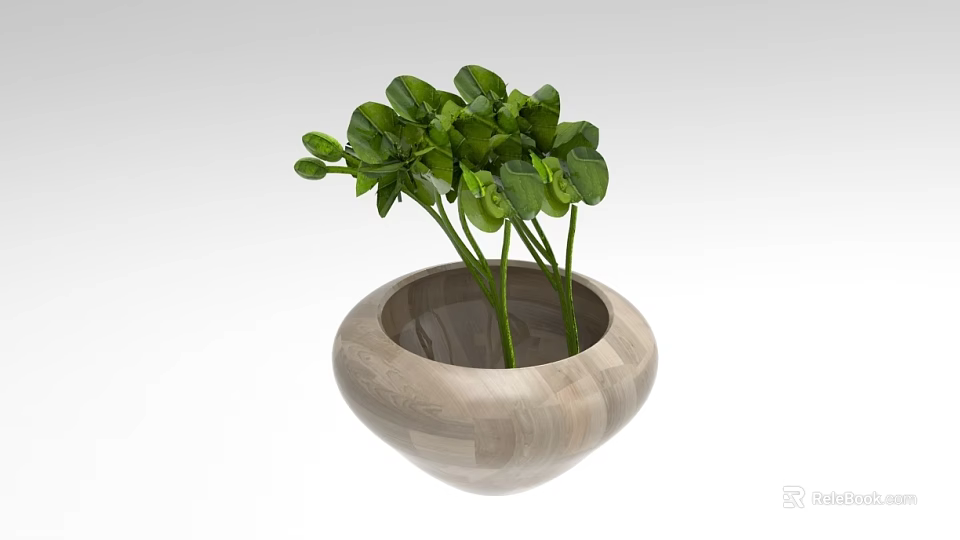 Lush Green Leafy Plants In Round Wooden Pot For Home Decoration 3d model 
