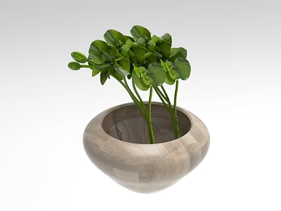 Lush Green Leafy Plants In Round Wooden Pot For Home Decoration 3d model