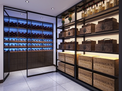 Modern Wine Cellar model