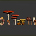 Colorful Mushroom Collection With Red White Spots Yellow Pink And Orange Varieties