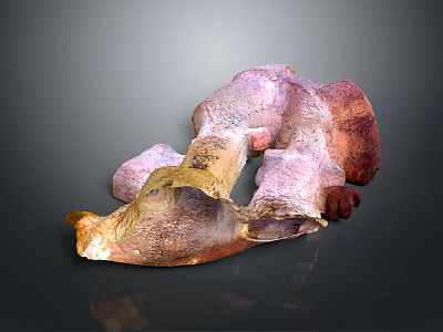 Natural Outdoor Scene With Irregular Colorful Rock Formation And Earthy Textures 3d model