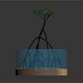 Small Green Tree Growing In Blue Water Container With Brown Base