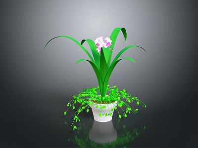 Green Orchid Plant With Pink Flowers In White Pot And Trailing Leaves On Dark Background 3d model