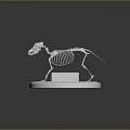 Realistic Detailed Dog Skeleton Model Placed On White Circular Base Stand 3d model