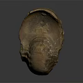 Spiral Stone Sculpture With Natural Fossil Like Texture On Dark Reflective Background