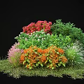 Colorful Shrubs with Red White Orange Pink Flowers and Green Foliage in Garden Landscape