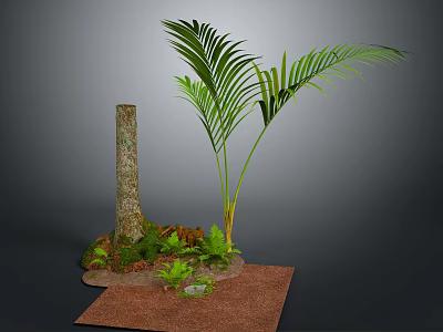 Lush Palm Plant with Tree Trunk Small Green Plants Moss and Brown Ground Cover 3d model