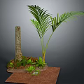 Lush Palm Plant with Tree Trunk Small Green Plants Moss and Brown Ground Cover