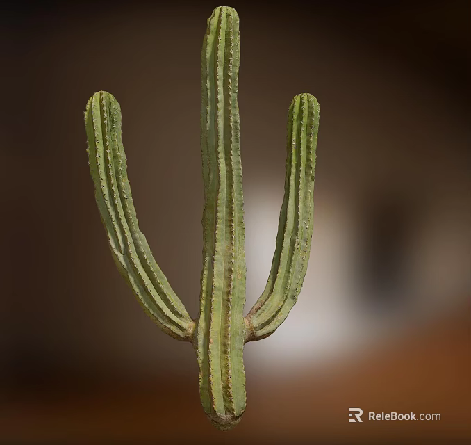 Green Cactus Bonsai Potted Plant with Three Branches and Natural Texture 3d model 
