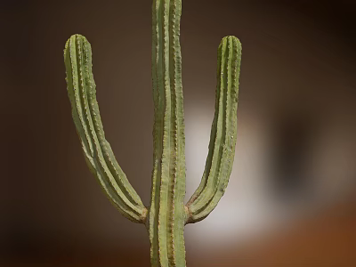 Green Cactus Bonsai Potted Plant with Three Branches and Natural Texture 3d model