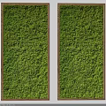Vertical Living Plant Wall With Natural Green Moss Covered Surface And Wooden Frame