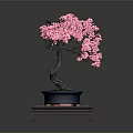 Pink Flowering Bonsai Tree in Blue Pot on Red Tray With Small White Decorations