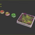 Modern Bonsai Planters with Small Green Plants in Stylish Square and Round Containers