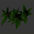 Leafy Green Plants in Three Different Colored Pots on Gray Surface