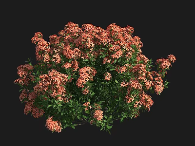 Bush of Orange Red Flowers with Green Leaves in Round Shape 3d model