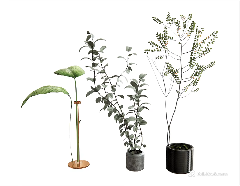 Modern Potted Plants With Large Green Leaves Small Dotted Foliage And Stylish Pots 3d model 