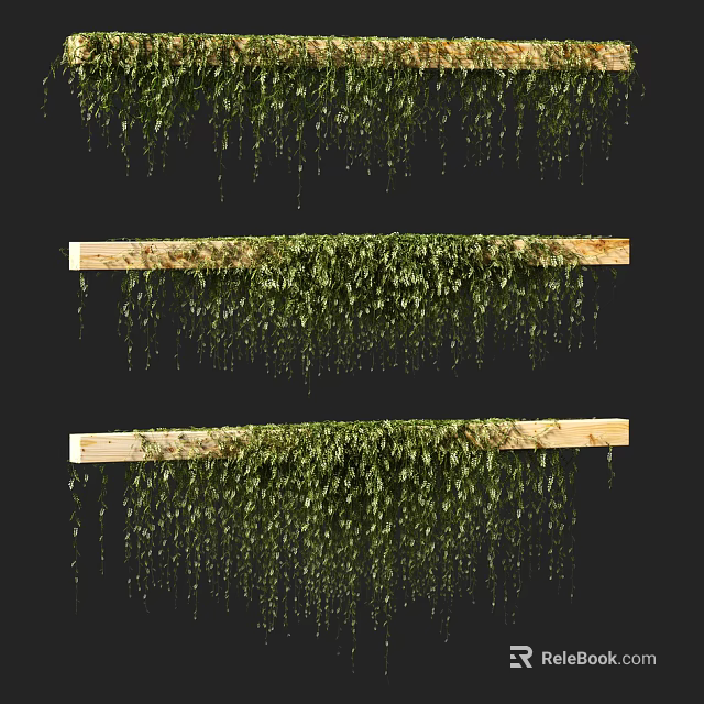 Decorative Green Plant Wall With Lush Hanging Vines On Wooden Shelves 3d model 