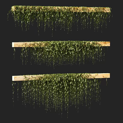 Decorative Green Plant Wall With Lush Hanging Vines On Wooden Shelves 3d model