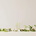 Small Bonsai Potted Plants With Various Greenery Stones And Moss In Indoor