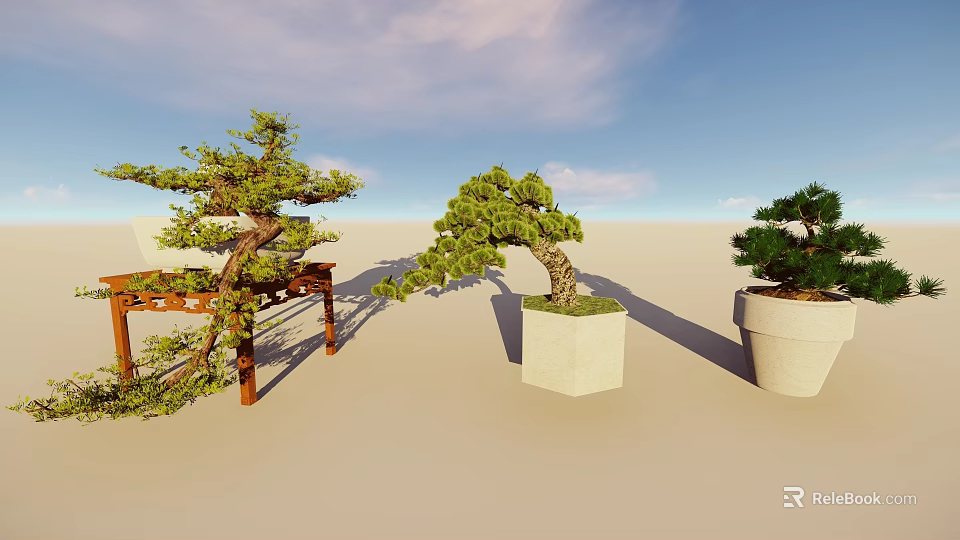 Outdoor Bonsai Potted Plants Display Under Blue Sky With Wooden Stand And Stone Pots 3d model 